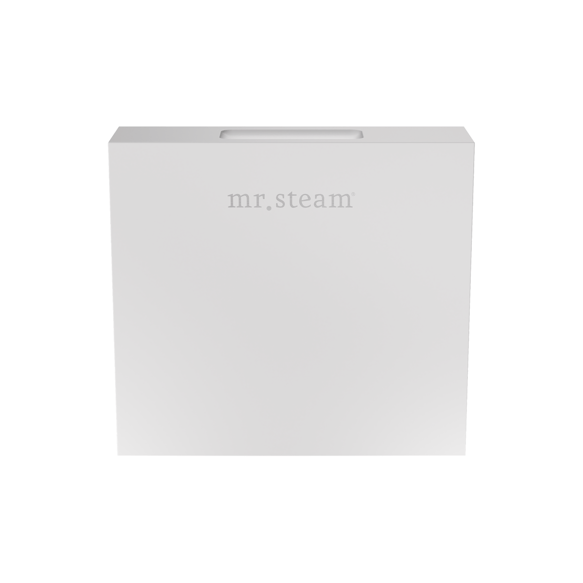 Mr. Steam Designer 3 in. Steamhead with AromaTherapy Reservoir