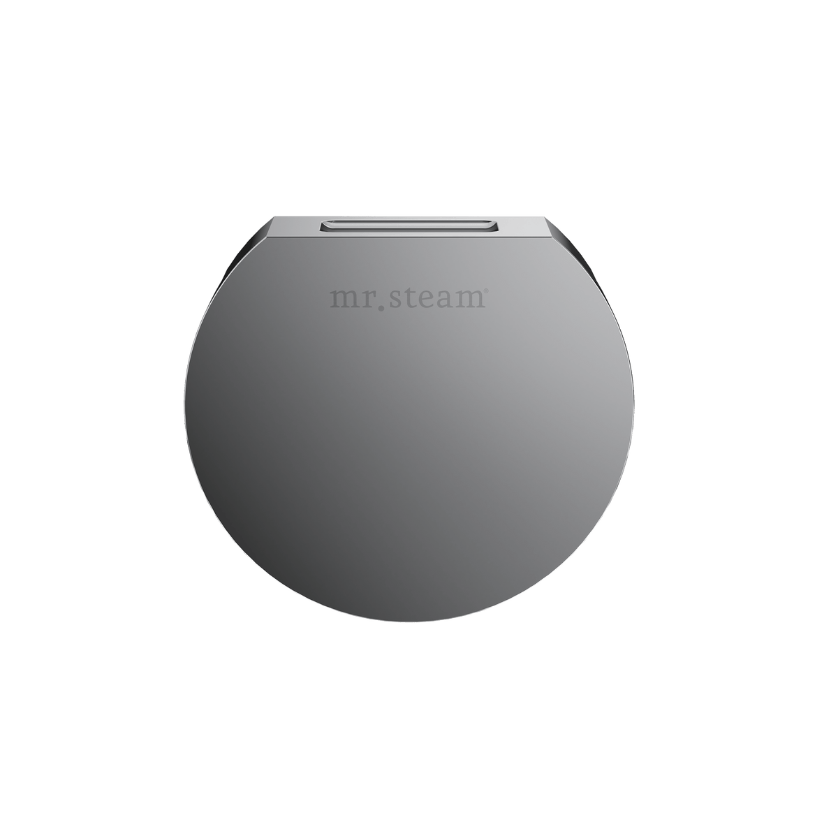 Mr. Steam Designer 3 in. Steamhead with AromaTherapy Reservoir