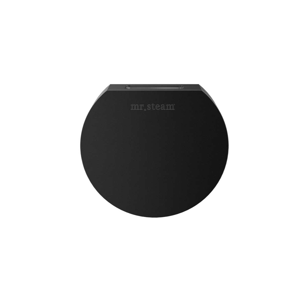 Mr. Steam Designer 3 in. Steamhead with AromaTherapy Reservoir