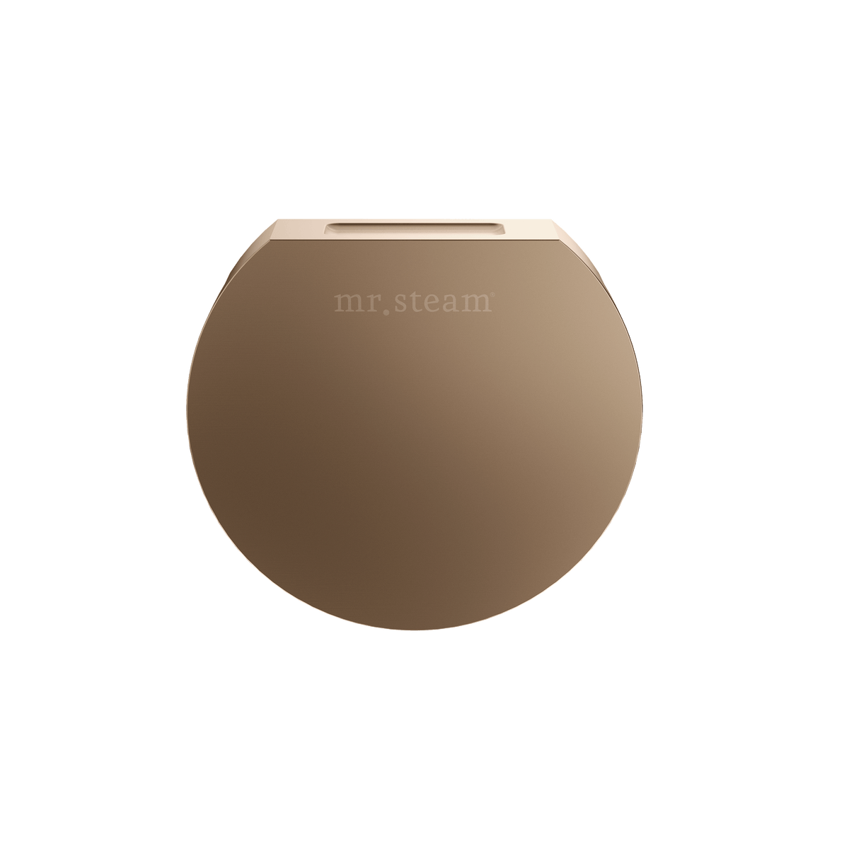 Mr. Steam Designer 3 in. Steamhead with AromaTherapy Reservoir