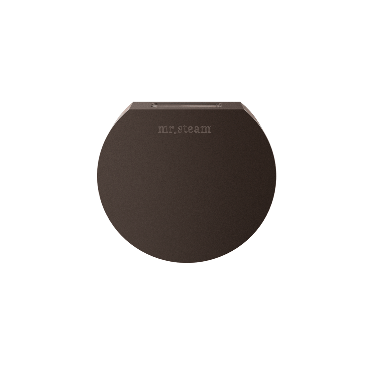 Mr. Steam Designer 3 in. Steamhead with AromaTherapy Reservoir