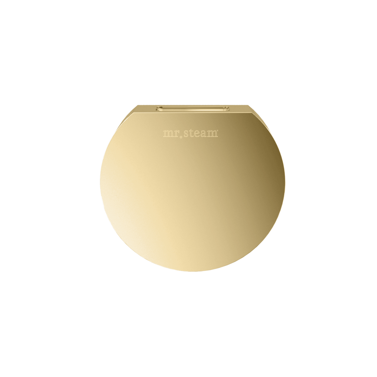 Mr. Steam Designer 3 in. Steamhead with AromaTherapy Reservoir