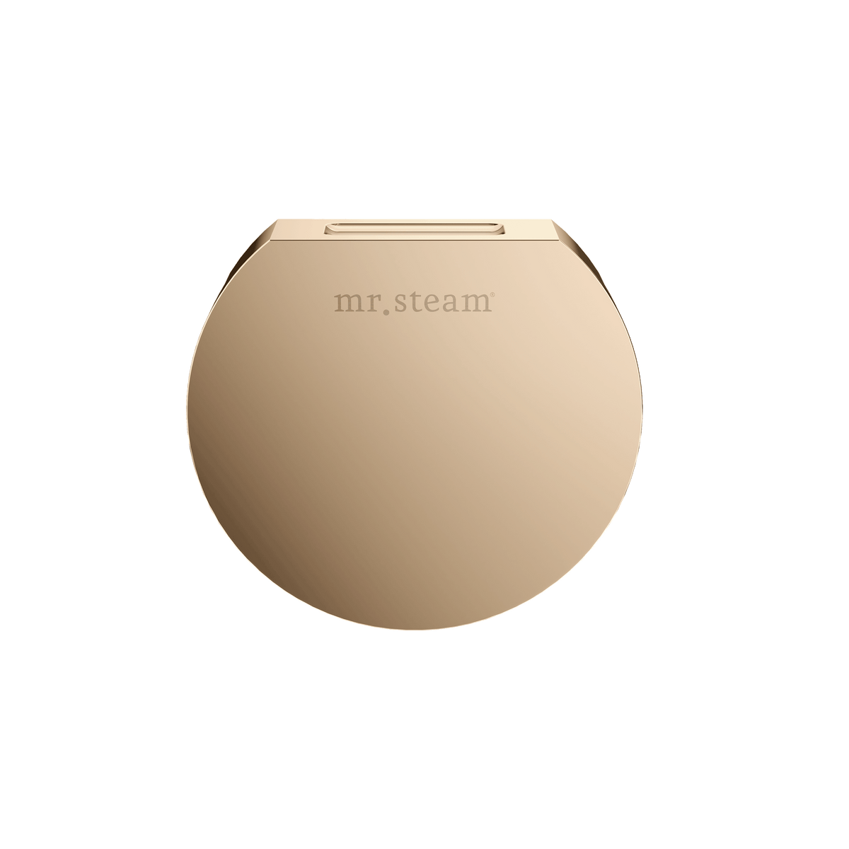 Mr. Steam Designer 3 in. Steamhead with AromaTherapy Reservoir
