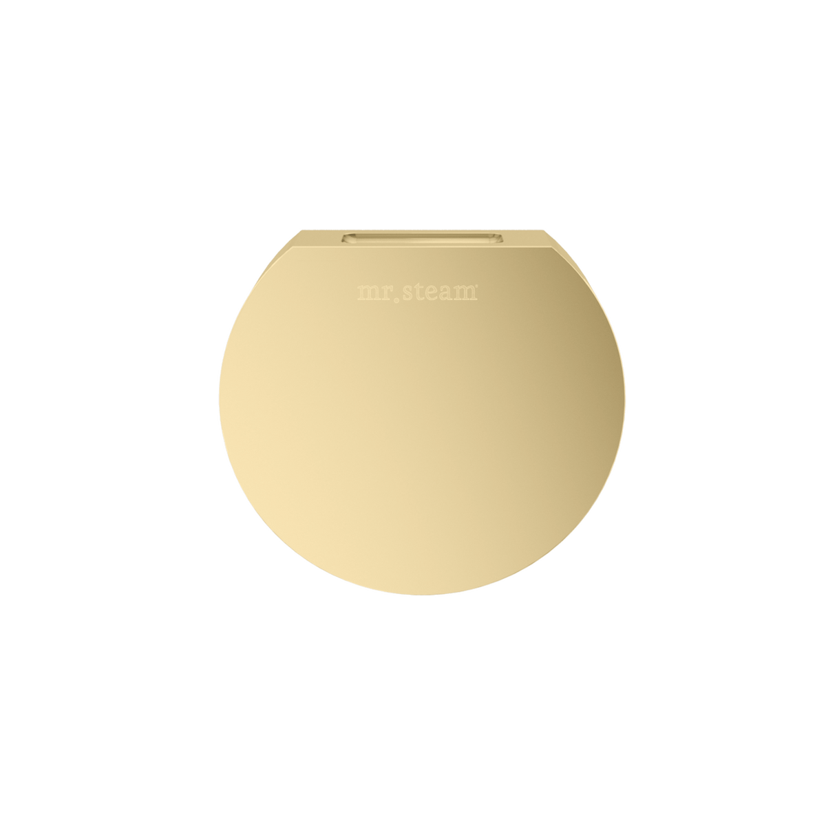 Mr. Steam Designer 3 in. Steamhead with AromaTherapy Reservoir