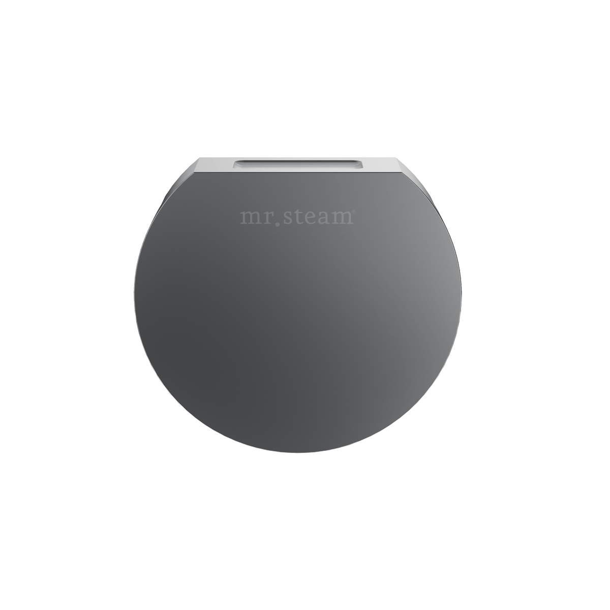 Mr. Steam Designer 3 in. Steamhead with AromaTherapy Reservoir
