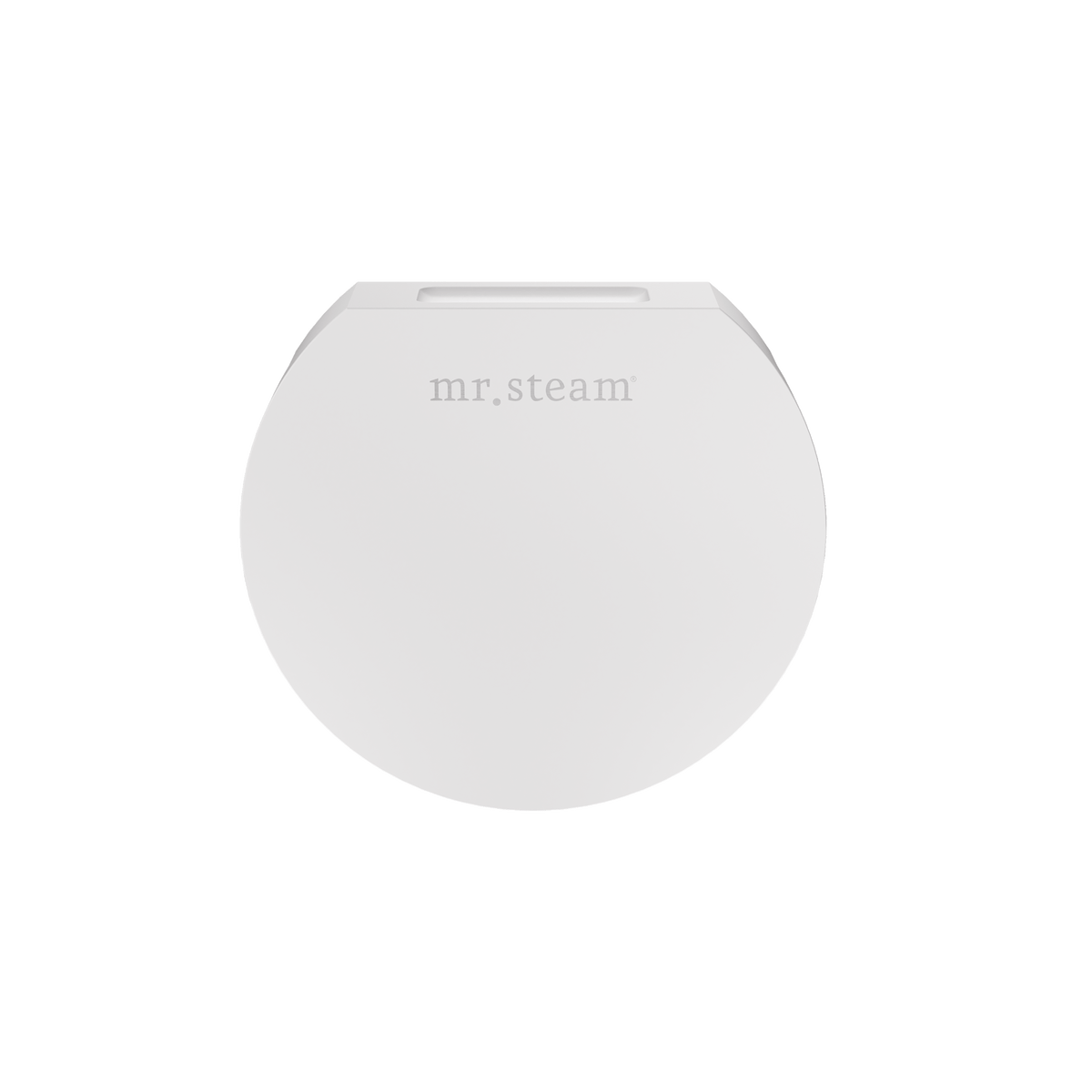 Mr. Steam Designer 3 in. Steamhead with AromaTherapy Reservoir