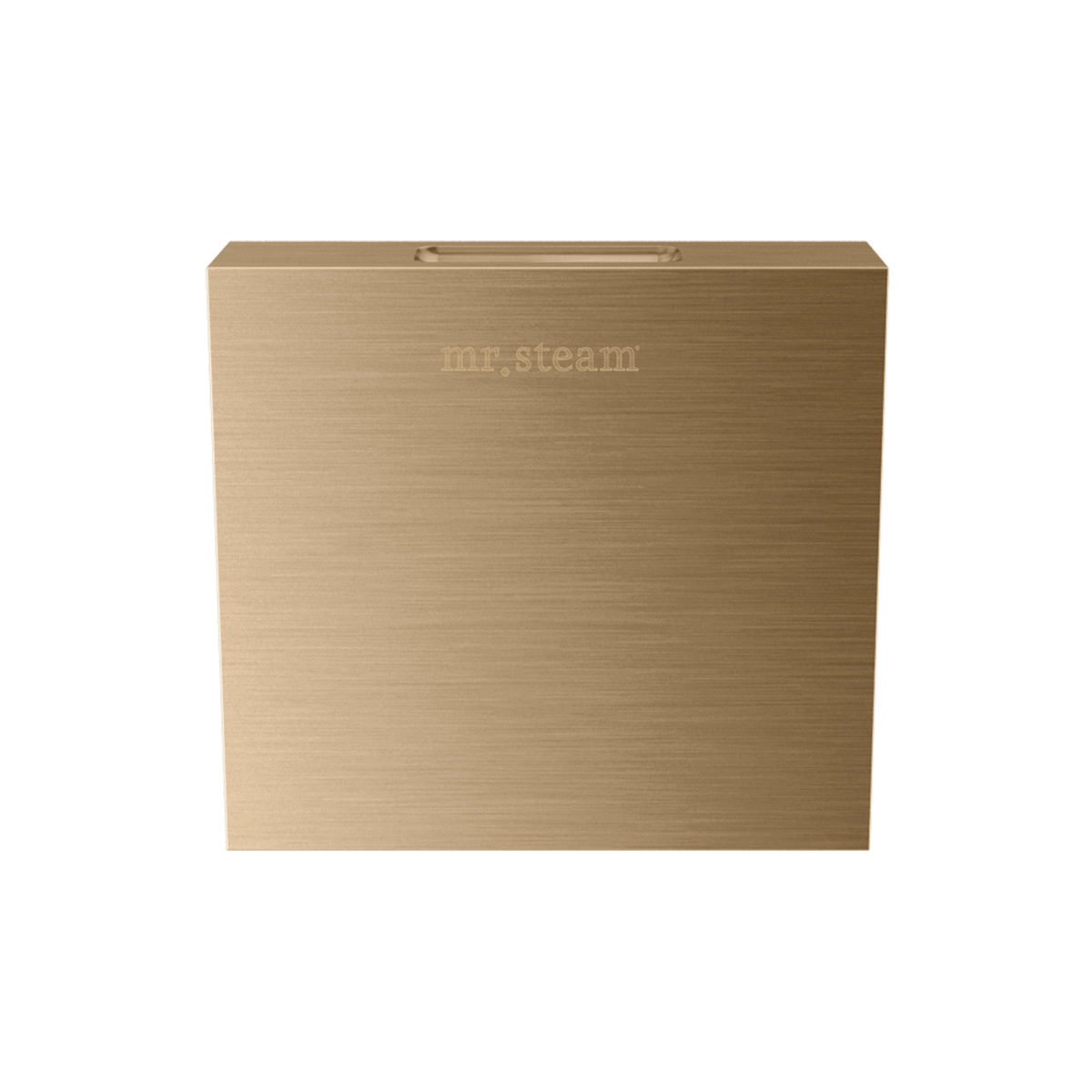 Mr. Steam Designer 3 in. Steamhead with AromaTherapy Reservoir