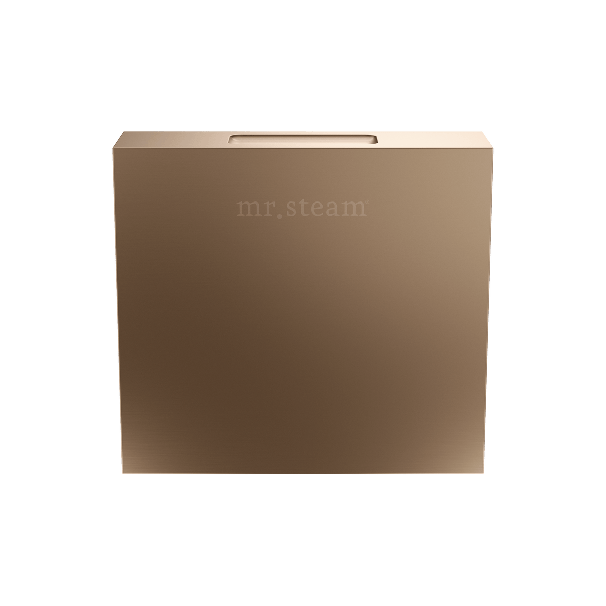 Mr. Steam Designer 3 in. Steamhead with AromaTherapy Reservoir