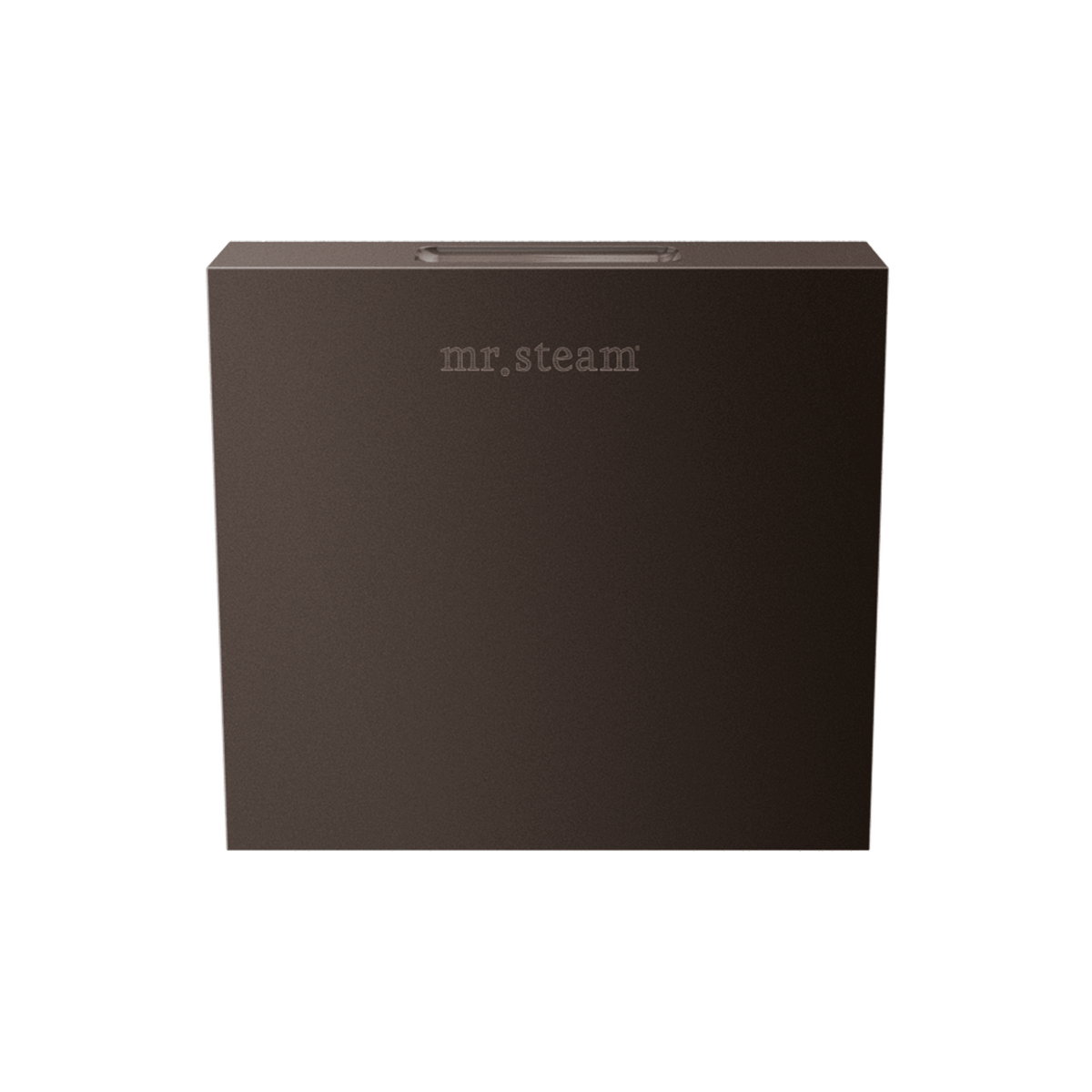 Mr. Steam Designer 3 in. Steamhead with AromaTherapy Reservoir