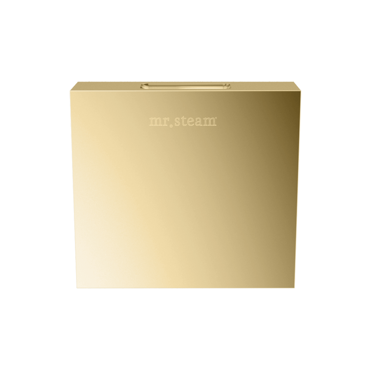 Mr. Steam Designer 3 in. Steamhead with AromaTherapy Reservoir