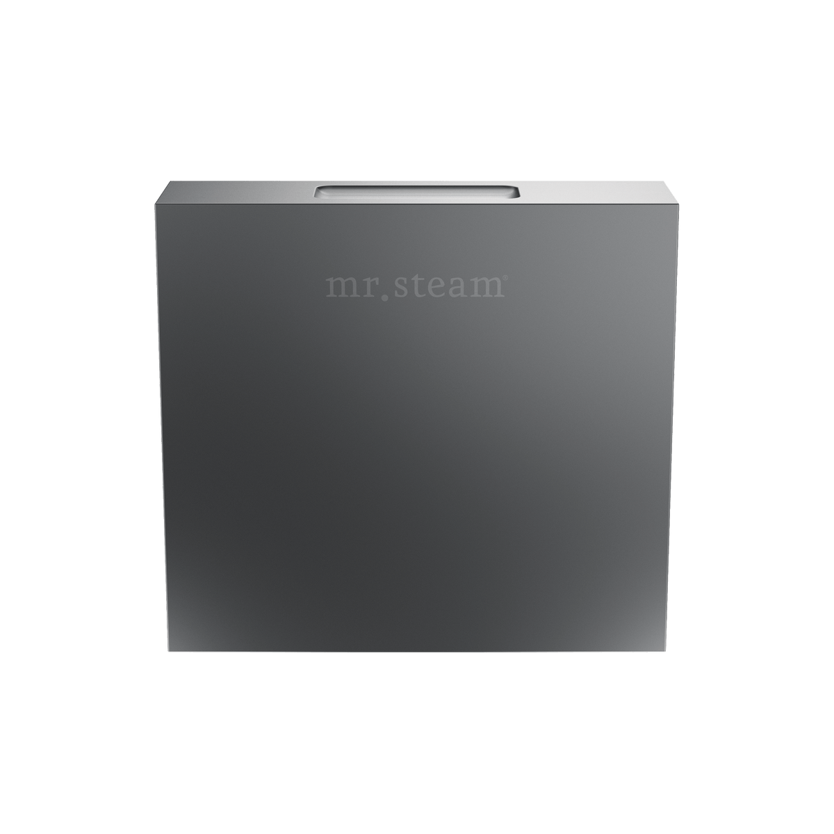 Mr. Steam Designer 3 in. Steamhead with AromaTherapy Reservoir