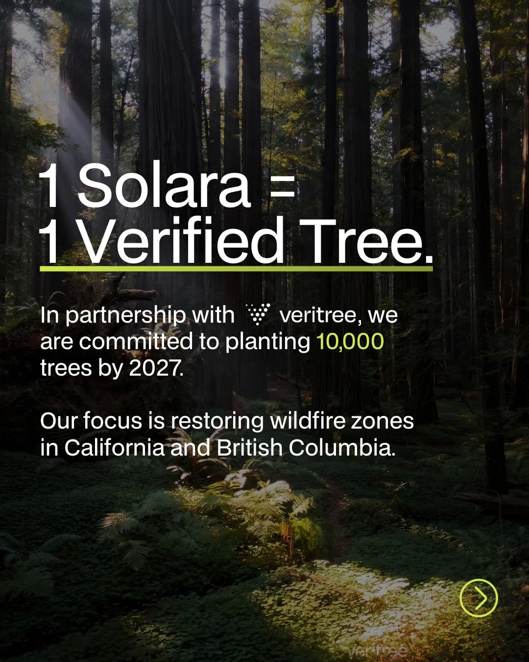 ® Solara 2-Person: Full Spectrum Infrared Sauna
