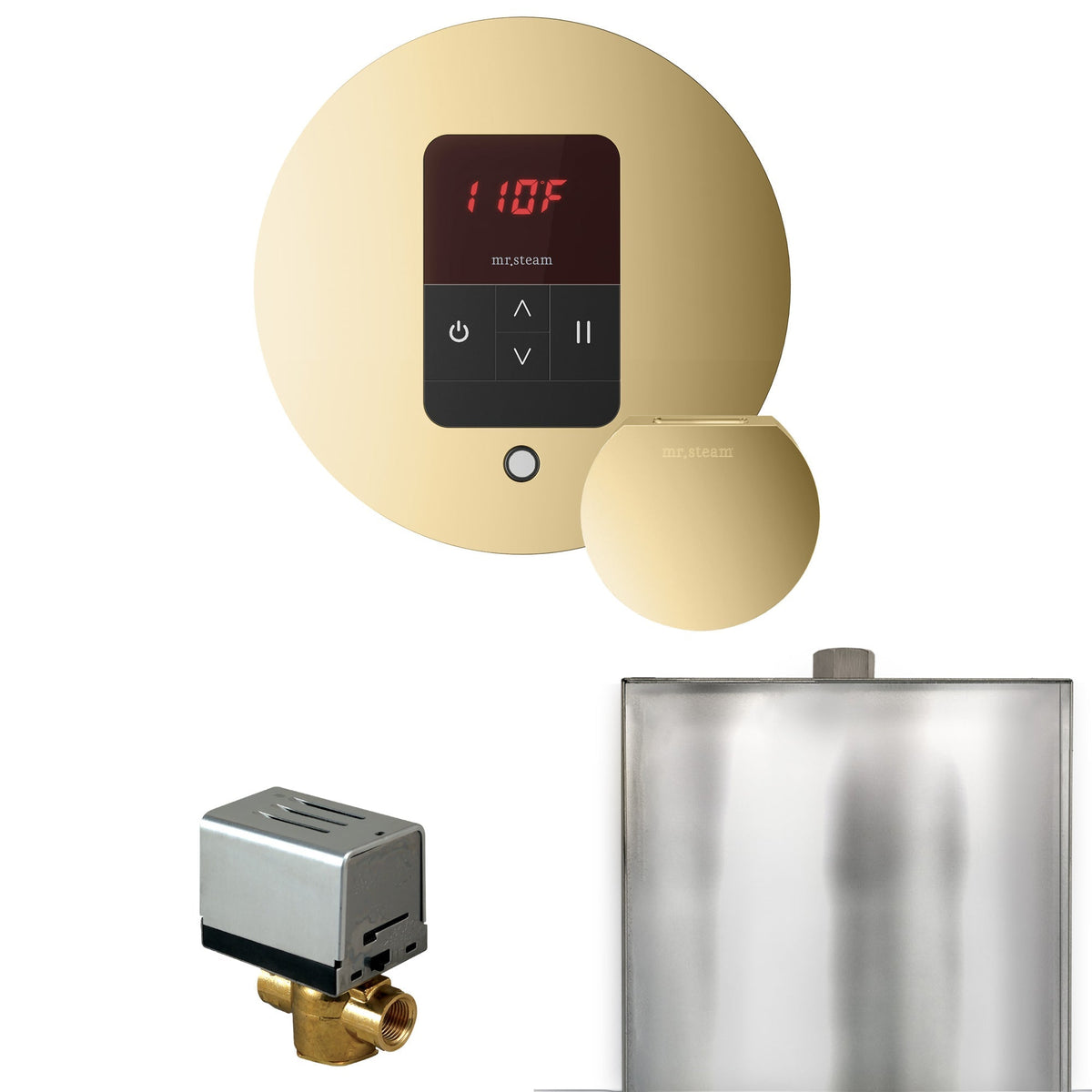 Mr. Steam Basic Butler Steam Shower Control Package with iTempo Control and Steamhead