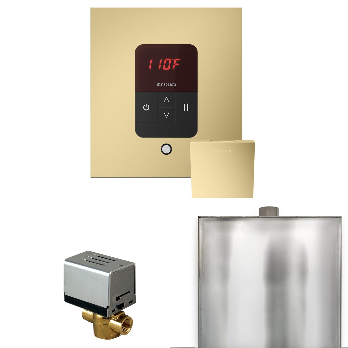 Mr. Steam Basic Butler Steam Shower Control Package with iTempo Control and Steamhead