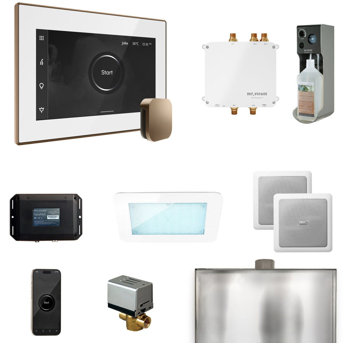 Mr. Steam Bliss Steam Shower Control Package with iSteamX Control and Steamhead