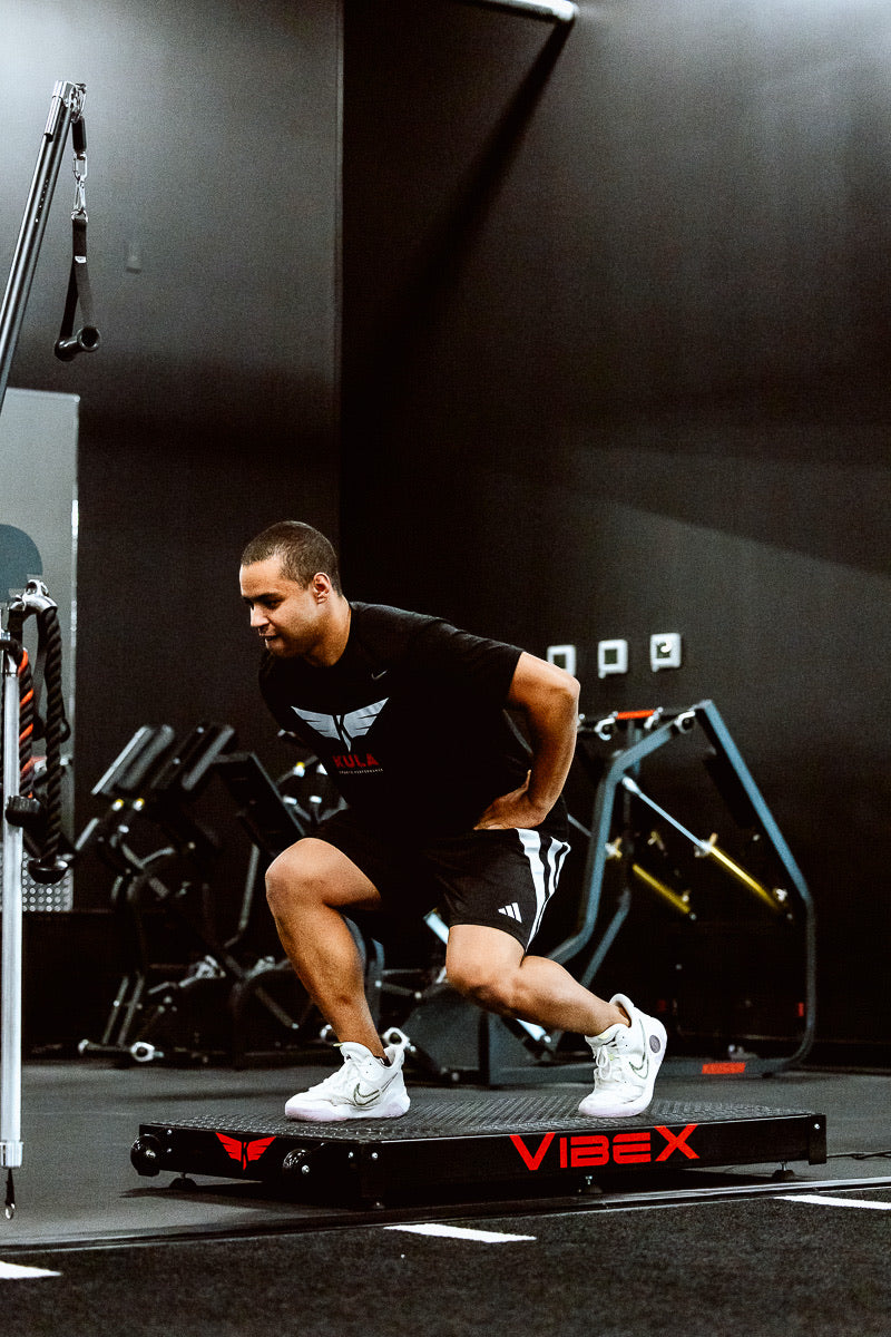 Vibe-X Neuromuscular Performance Platform