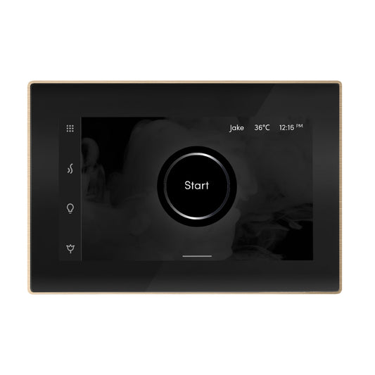 Mr. Steam ISX iSteamX Steam Shower Control and Steamhead