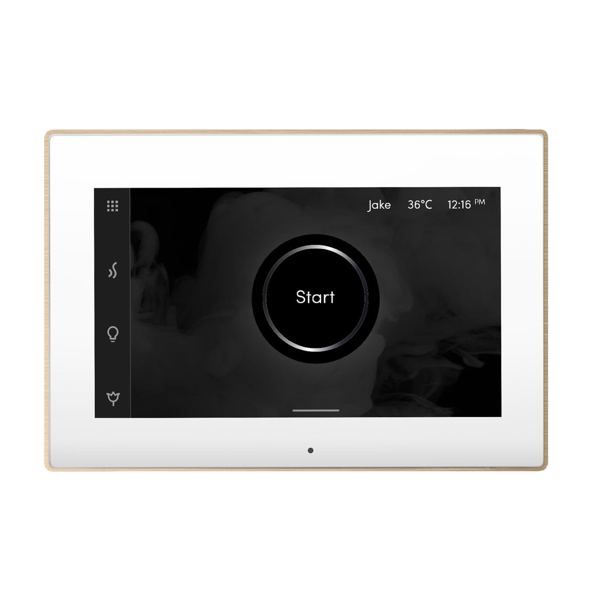 Mr. Steam ISX iSteamX Steam Shower Control and Steamhead