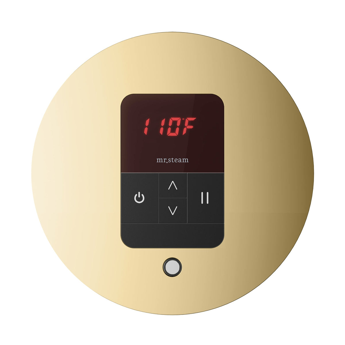 Mr. Steam iTempo Steam Shower Control and Steamhead