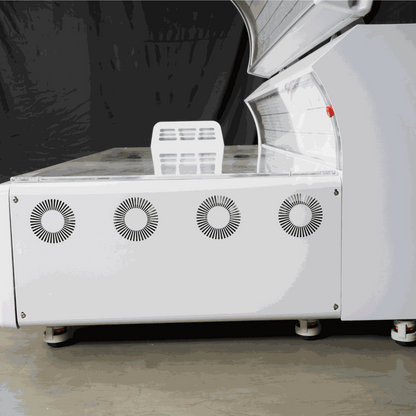 Airvida Radiance Full-Body Red & Near-Infrared Light Therapy Bed
