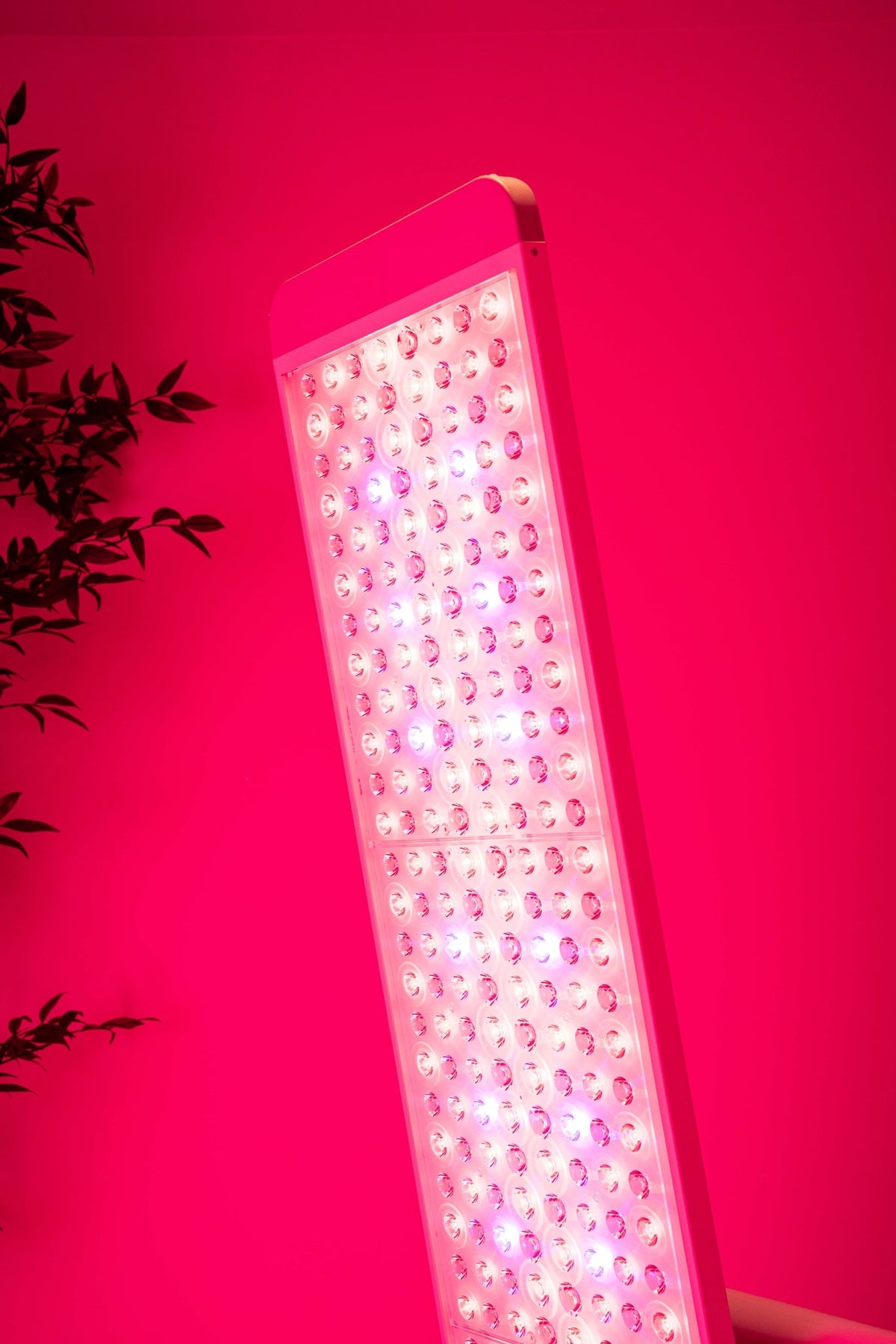 Renew Red Light The Panorama Panel, 7-Wavelength Red, Near-Infrared and Blue LED Panel, 480 x 5 W LEDs, 450–850 nm, 64.3 x 11.8 in. with 360-Degree Rotating Electric-Lift Floor Stand, Touchscreen and Voice Control
