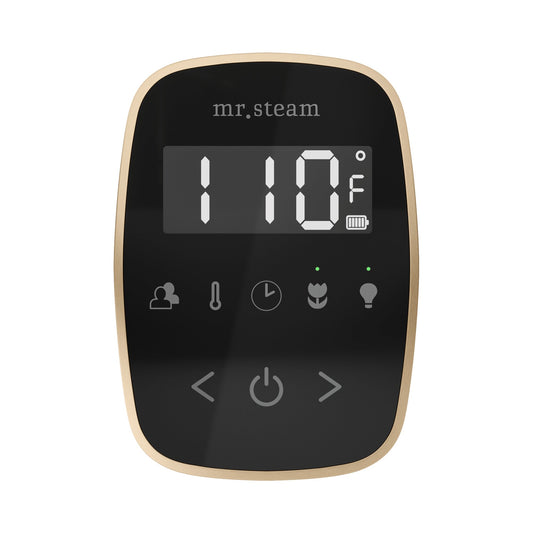 Mr. Steam TempoFlex Steam Shower Control and Steamhead