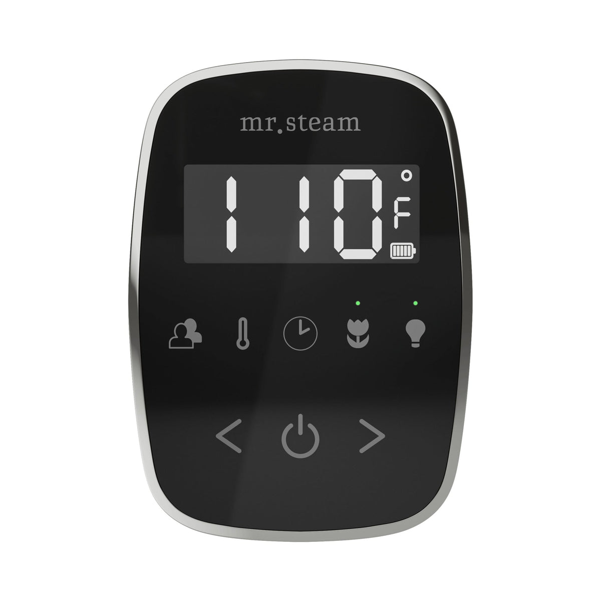 Mr. Steam TempoFlex Steam Shower Control and Steamhead