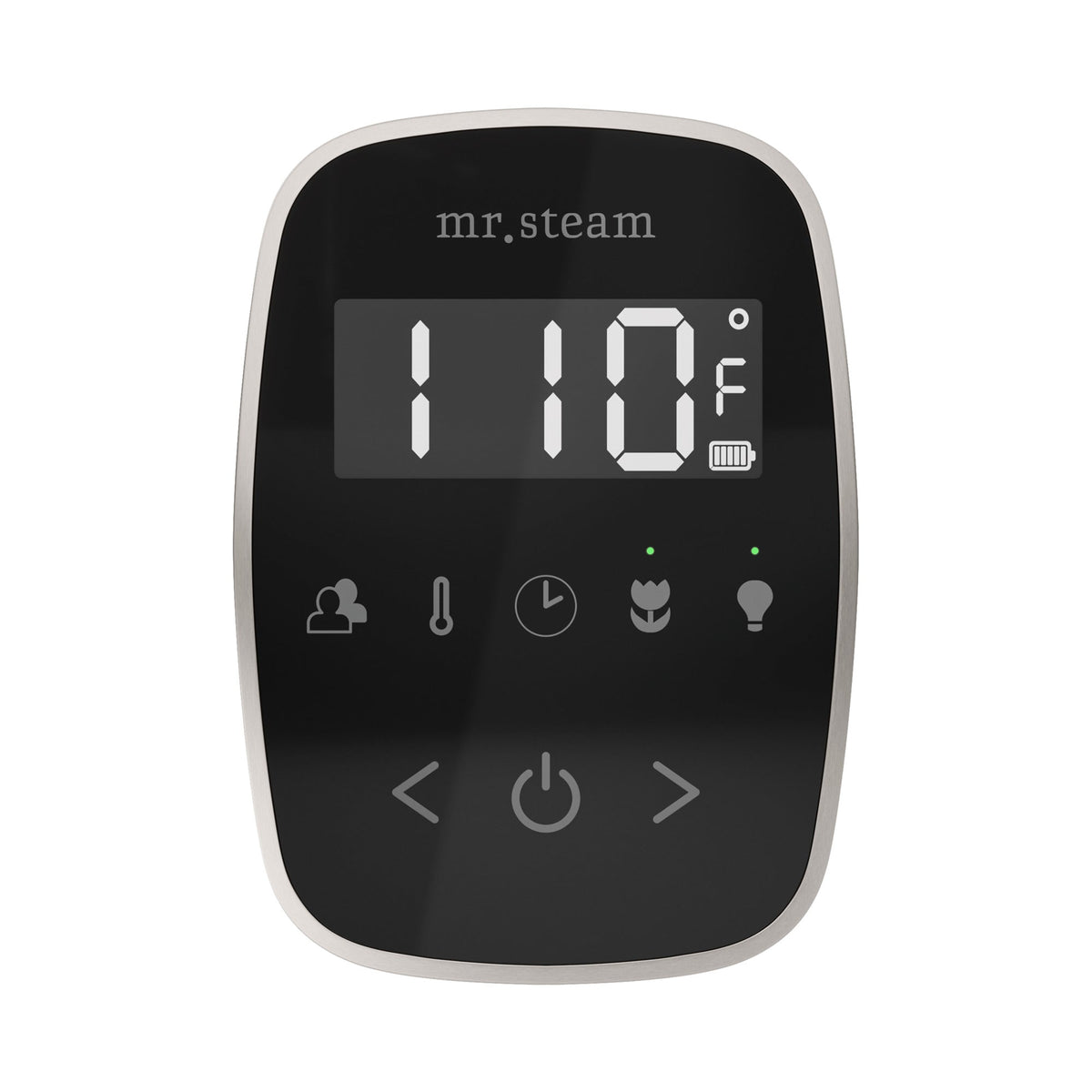 Mr. Steam TempoFlex Steam Shower Control and Steamhead