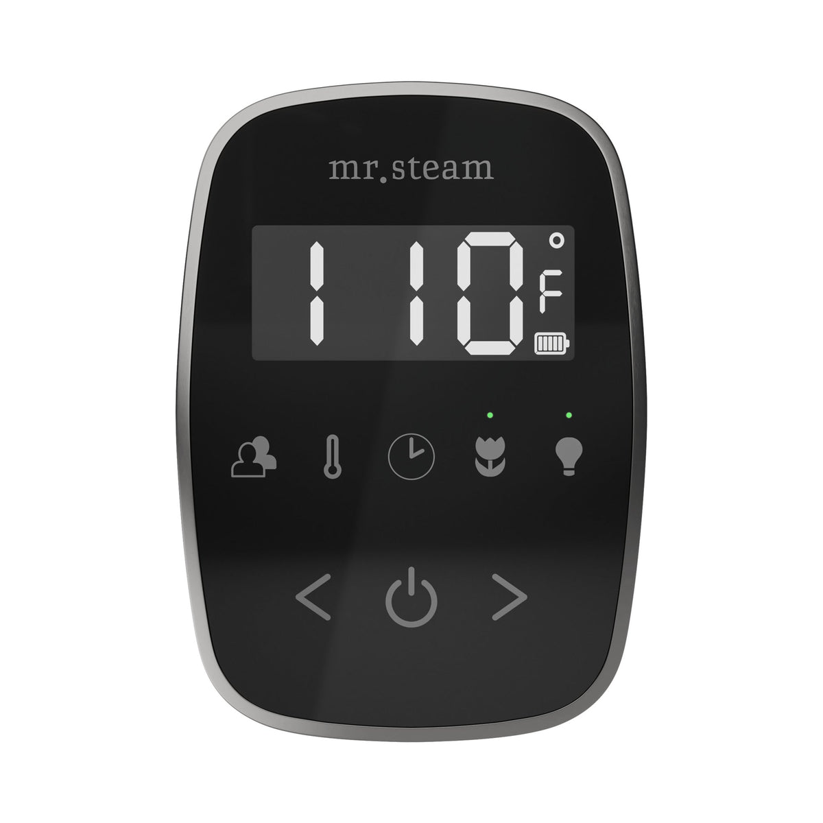 Mr. Steam TempoFlex Steam Shower Control and Steamhead