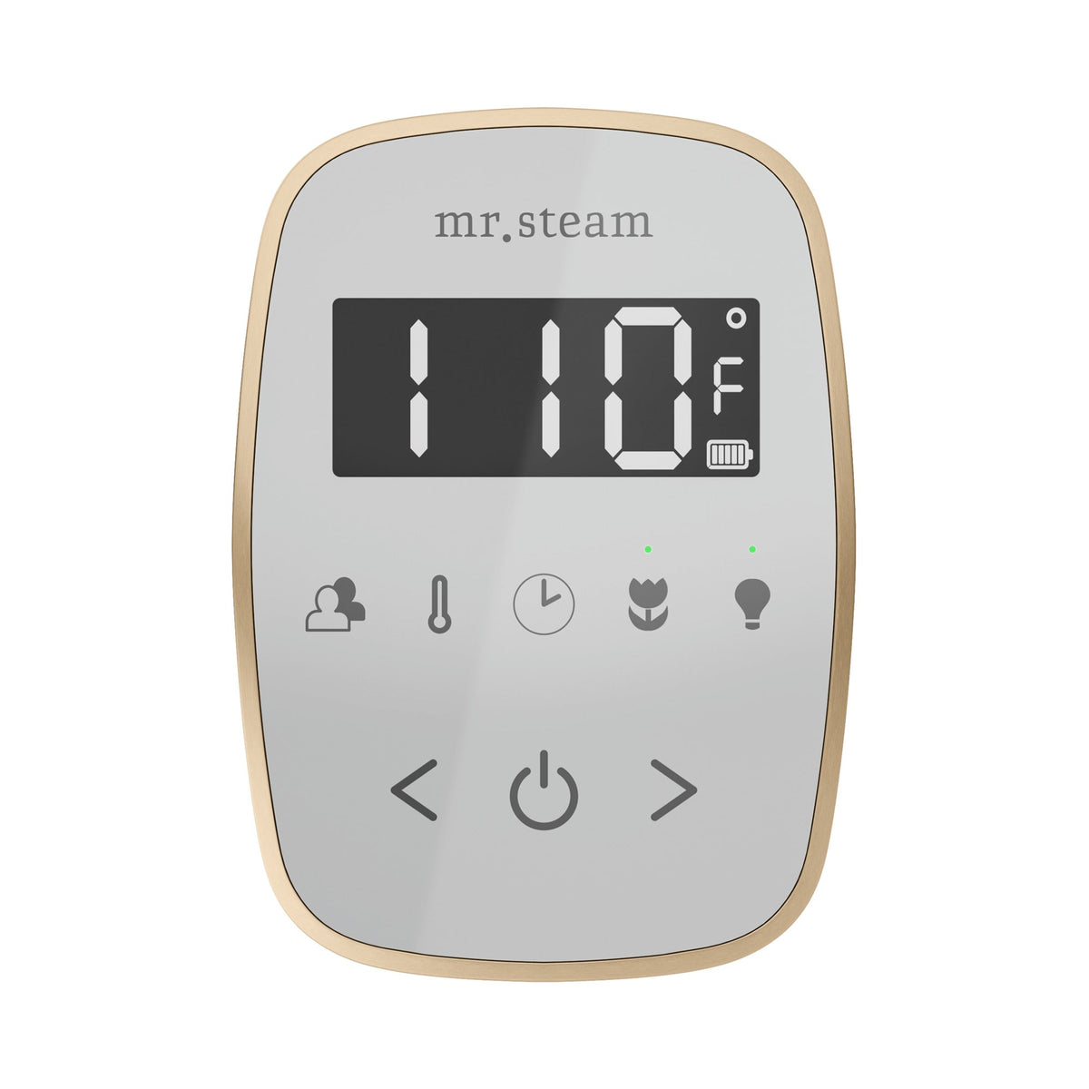 Mr. Steam TempoFlex Steam Shower Control and Steamhead