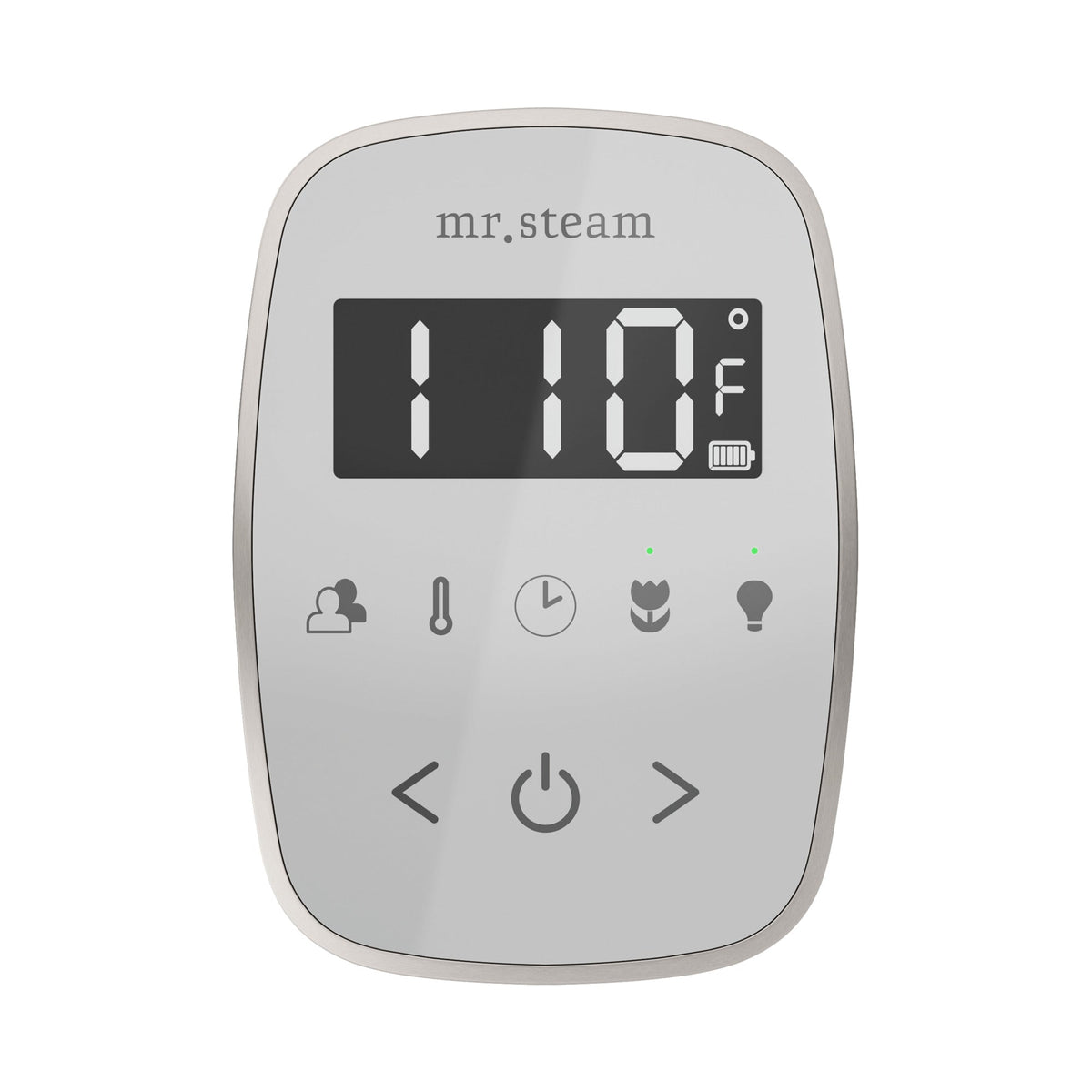 Mr. Steam TempoFlex Steam Shower Control and Steamhead