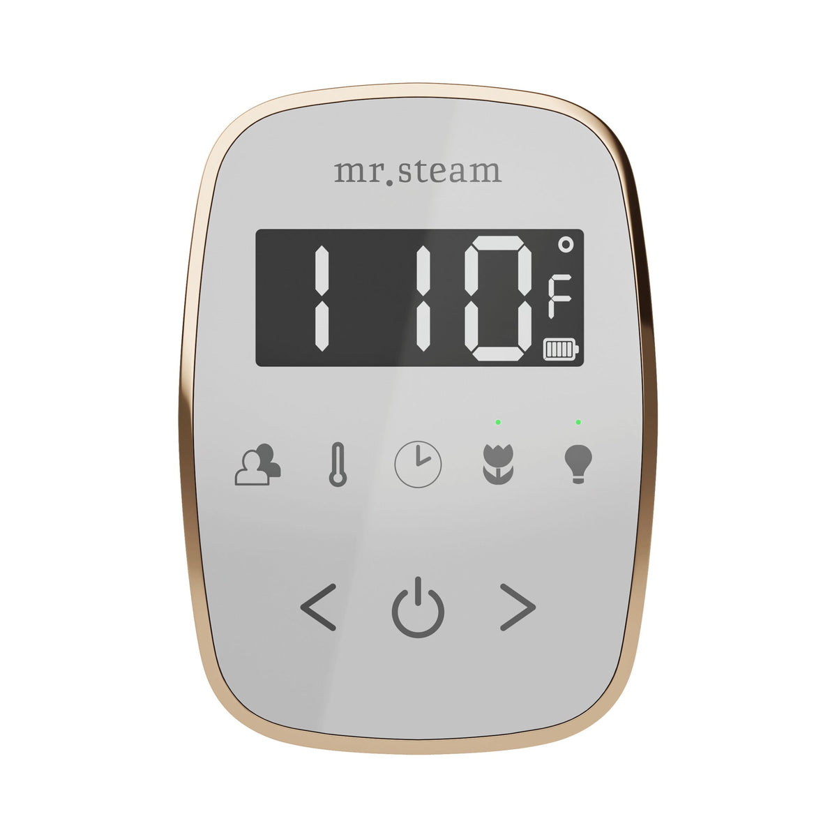 Mr. Steam TempoFlex Steam Shower Control and Steamhead