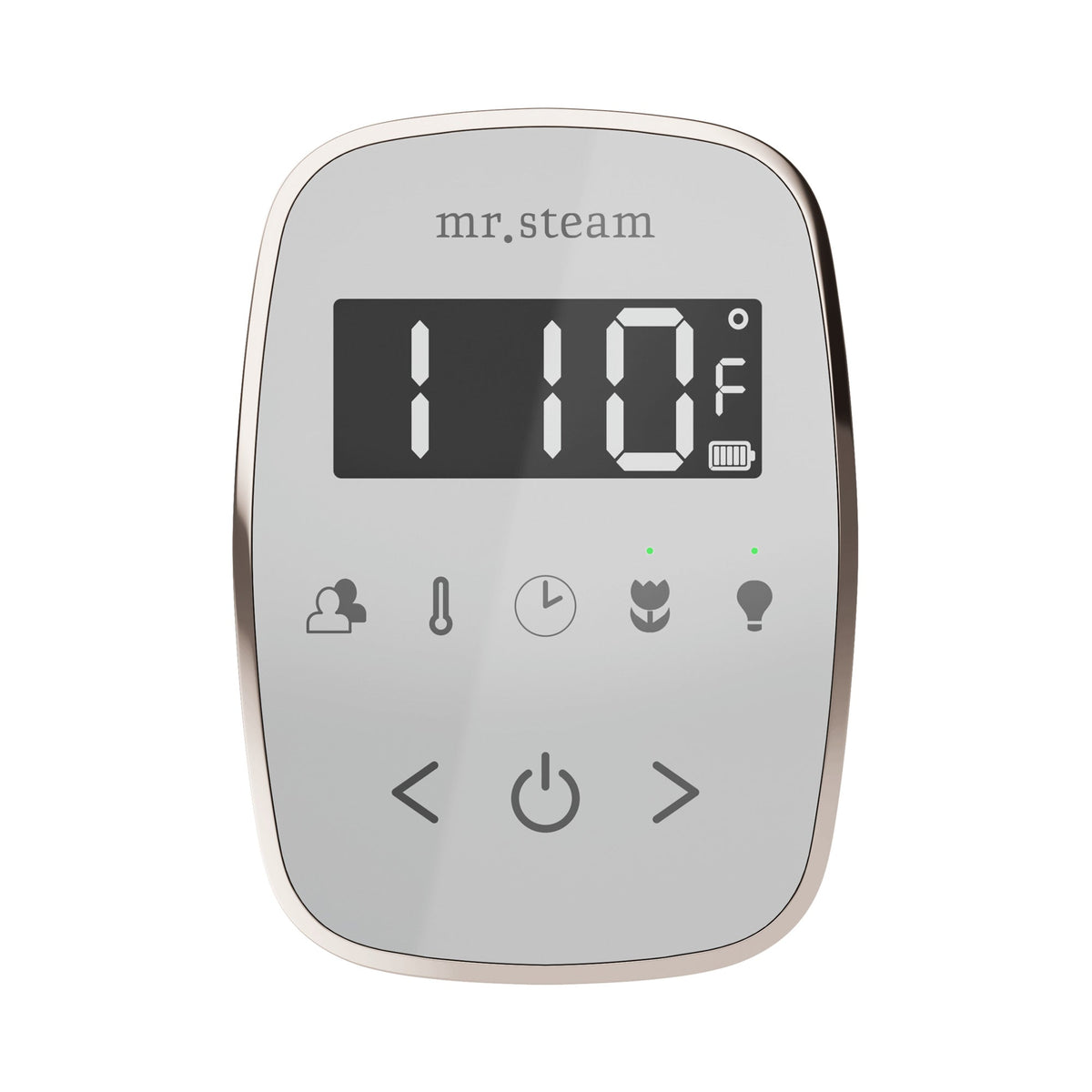 Mr. Steam TempoFlex Steam Shower Control and Steamhead