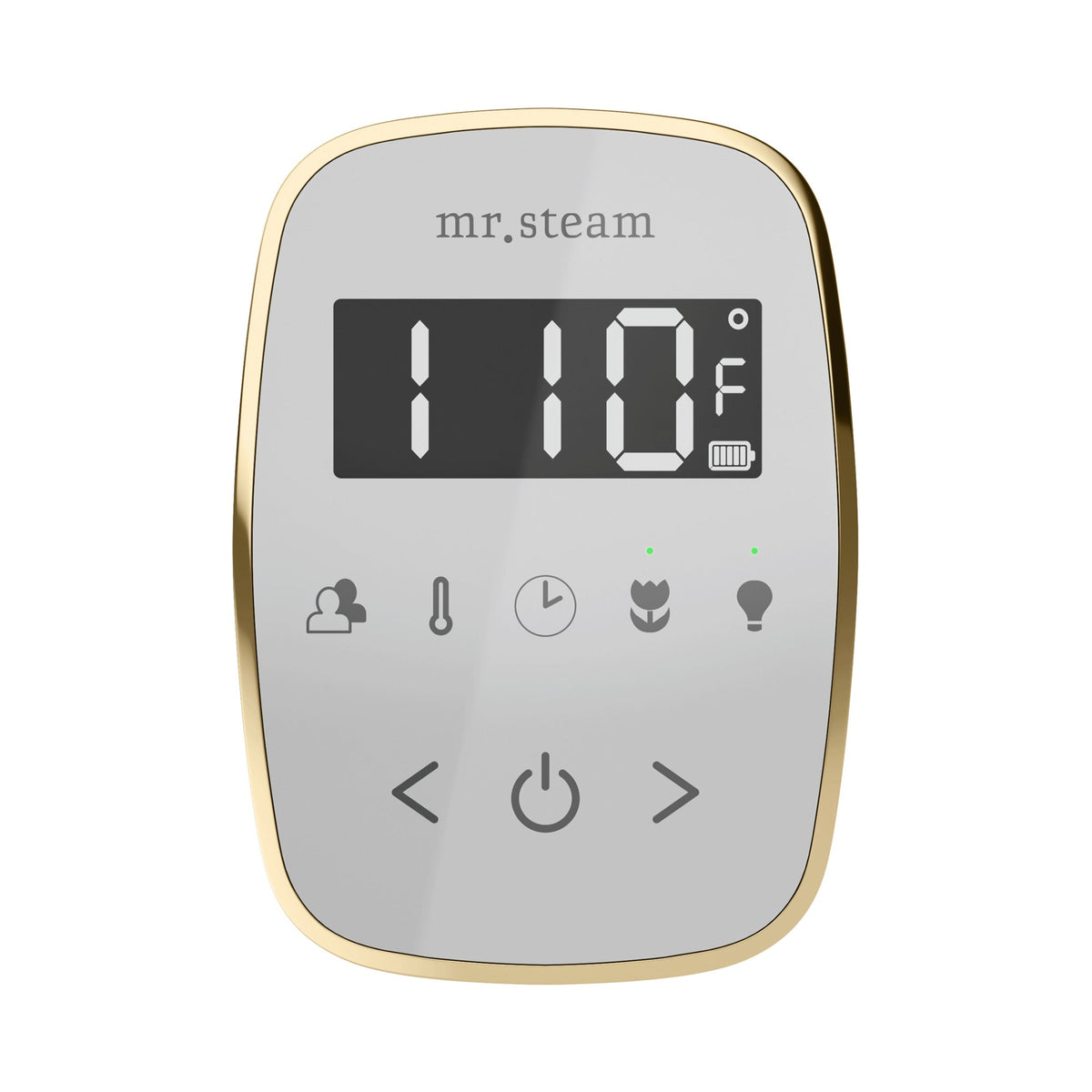 Mr. Steam TempoFlex Steam Shower Control and Steamhead
